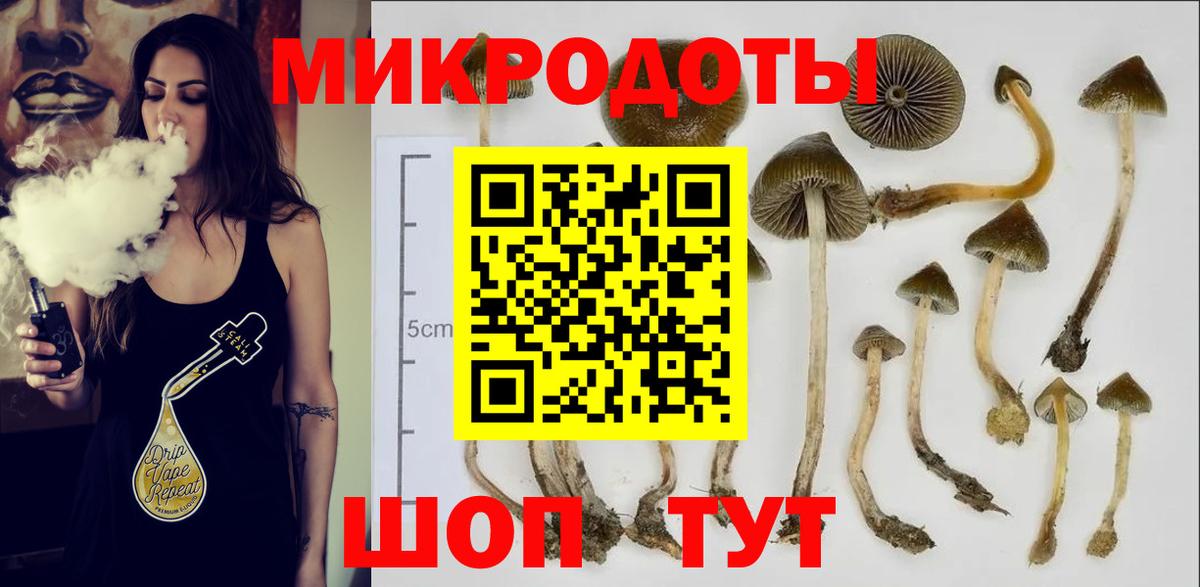 Галлюциногенные грибы MAGIC MUSHROOMS  Вход с VPN  Губкин 